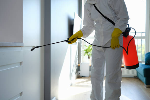 Best Office Mold Removal Services  in Pleasant Hill, IA
